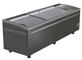 Ларь-бонета Haier GTS2500G